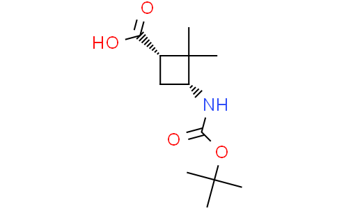 (1S,3R)-3-(tert-butoxycarbonylamino)-2,2-dimethyl-cyclobutanecarboxylic acid