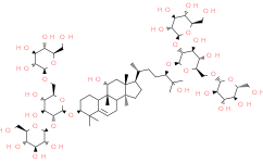 2025新老澳门原料