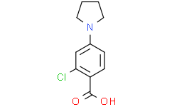 2-氯-4-(1-吡咯烷基)苯甲酸,≥97%