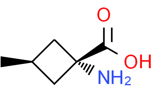 cis-1-amino-3-methyl-cyclobutanecarboxylic acid