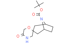 叔-丁基 5-氧亚基-8-氮杂螺[二环[3.2.1]辛烷-3,2-吗啉]-8-甲酸基酯