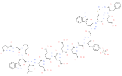 Gastrin I (human) (sulfated)