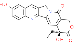 10-羟基喜树碱