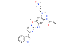 Osimertinib Impurity M