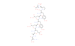 Cholecystokinin Precursor (107-115) (human) (desulfated)
