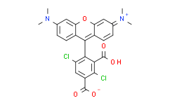 1，4dichloro5-Carboxytetramethylrhodamine,>95%