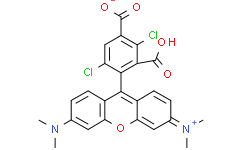 1，4dichloro5-Carboxytetramethylrhodamine