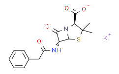 [DR.E]青霉素钾