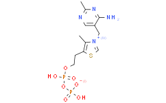硫胺素焦磷酸盐（维生素B1焦磷酸盐） 溶液