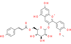 L-脯氨酸