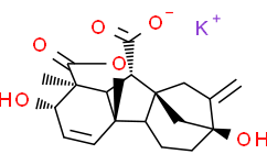 赤霉酸 钾盐