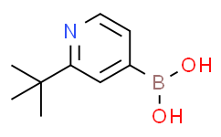 (2-(tert-butyl)pyridin-4-yl)boronic acid,95%