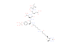 Biotin-ε-aminocaproyl-Tyr(PO3H2)-Glu-Glu-Ile-OH