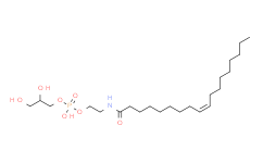 Glycerophospho-N-Oleoyl Ethanolamine