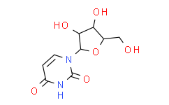 Uridine-13C