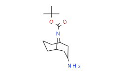 内向-3-氨基-N-Boc-9-氮杂双环[3.3.1]壬烷,≥97%
