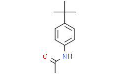 4-叔丁基乙酰苯胺