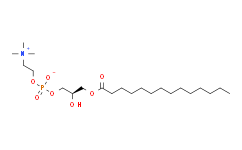 1-Myristoyl-sn-glycero-3-phosphatidylcholine