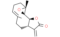 小白菊内酯