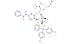 (1R，3R，4R，7S)-3-(4-苯甲酰胺基-2-氧代嘧啶-1(2H)-基)-1-((双(4-甲氧基苯基)(苯基)甲氧基)甲基)-2，5-二氧杂双环[2.2.1]庚烷-7-基 (2-氰基乙基) 二异丙基亚磷酰胺