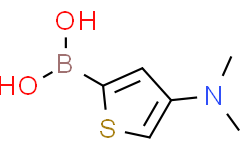 4-(Dimethylamino)thiophene-2-boronic acid