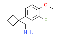 （1-（3-氟-4-甲氧基苯基）环丁基）甲胺盐酸盐,90%