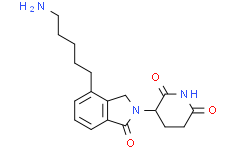 E3 ligase Ligand-Linker Conjugates 31