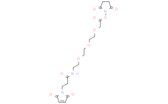 Mal-amido-PEG3-C1-NHS ester
