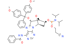 (5'S)-8，5'-Cyclodeoxyadenosine CE phosphoramidite