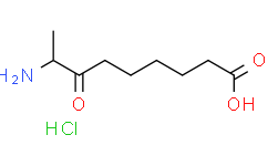 8-氨基-7-氧代壬酸盐酸盐