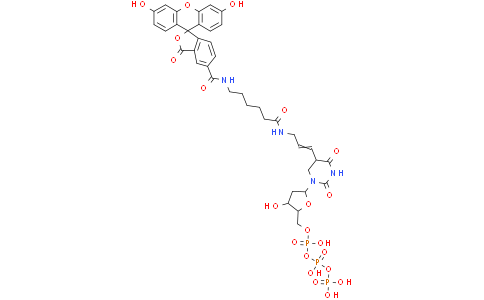 1 mM 荧光素-12-dUTP四锂盐溶液产品图片