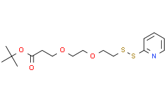 (2-Pyridyldithio)-PEG2-Boc