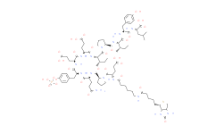 Biotin-ε-aminocaproyl-Glu-Pro-Gln-Tyr(PO3H2)-Glu-Glu-Ile-Pro-Ile-Tyr-Leu-OH