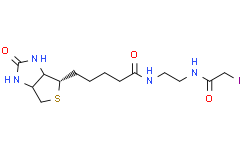 1H-Thieno[3,4-d]iMidazole-4-pentanaMide, hexahydro-N-[2-[(iodoacetyl)aMino]ethyl]-2-oxo-, (3aS,4S,6aR)-
