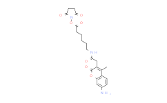 AMCA-X 琥珀酰亚胺酯