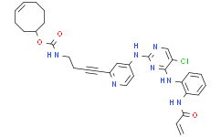 ERK1/2 inhibitor 9