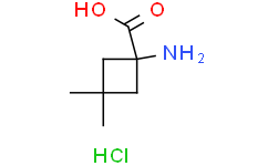 1-amino-3,3-dimethyl-cyclobutanecarboxylic acid;hydrochloride