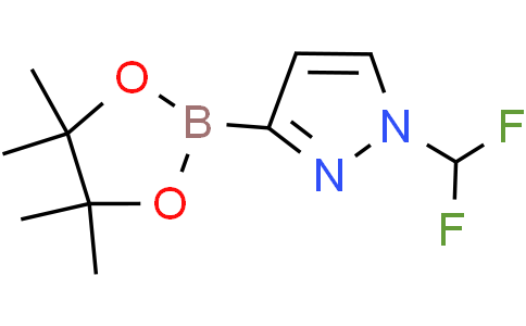 1-(difluoromethyl)-3-(4,4,5,5-tetramethyl-1,3,2-dioxaborolan-2-yl)pyrazole