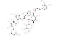 天竺葵色素-3-O-[6-O-(E)-阿魏酰基-2-O-β-D-葡萄糖苷}-β-D-葡萄糖苷]-5-O-(6-O-丙二酰基）-β-D-葡萄糖苷