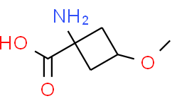 cis-1-amino-3-methoxy-cyclobutanecarboxylic acid