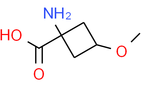 cis-1-amino-3-methoxy-cyclobutanecarboxylic acid