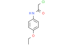 2-氯-N-(4-乙氧基苯基)乙酰胺