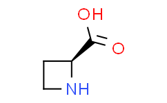 (|S|)-(-)-2-羧基环丁胺,99%
