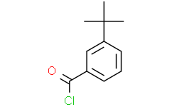 3-叔丁基苯甲酰氯