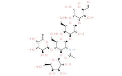 乳-N-岩藻五糖 Ⅱ