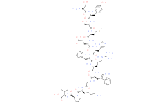 ACTH 1-13
