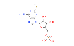 2-Methylthio-AMP