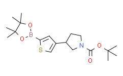 Tert-butyl 3-(5-(4，4，5，5-tetramethyl-1，3，2-dioxaborolan-2-yl)thiophen-3-yl)pyrrolidine-1-carboxylate,95%