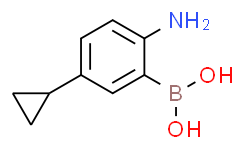 (2-amino-5-cyclopropylphenyl)boronic acid,95%
