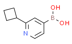 (2-cyclobutylpyridin-4-yl)boronic acid,95%